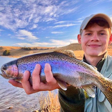 Copperleigh Trout Cottages Dargle Buitenkant foto
