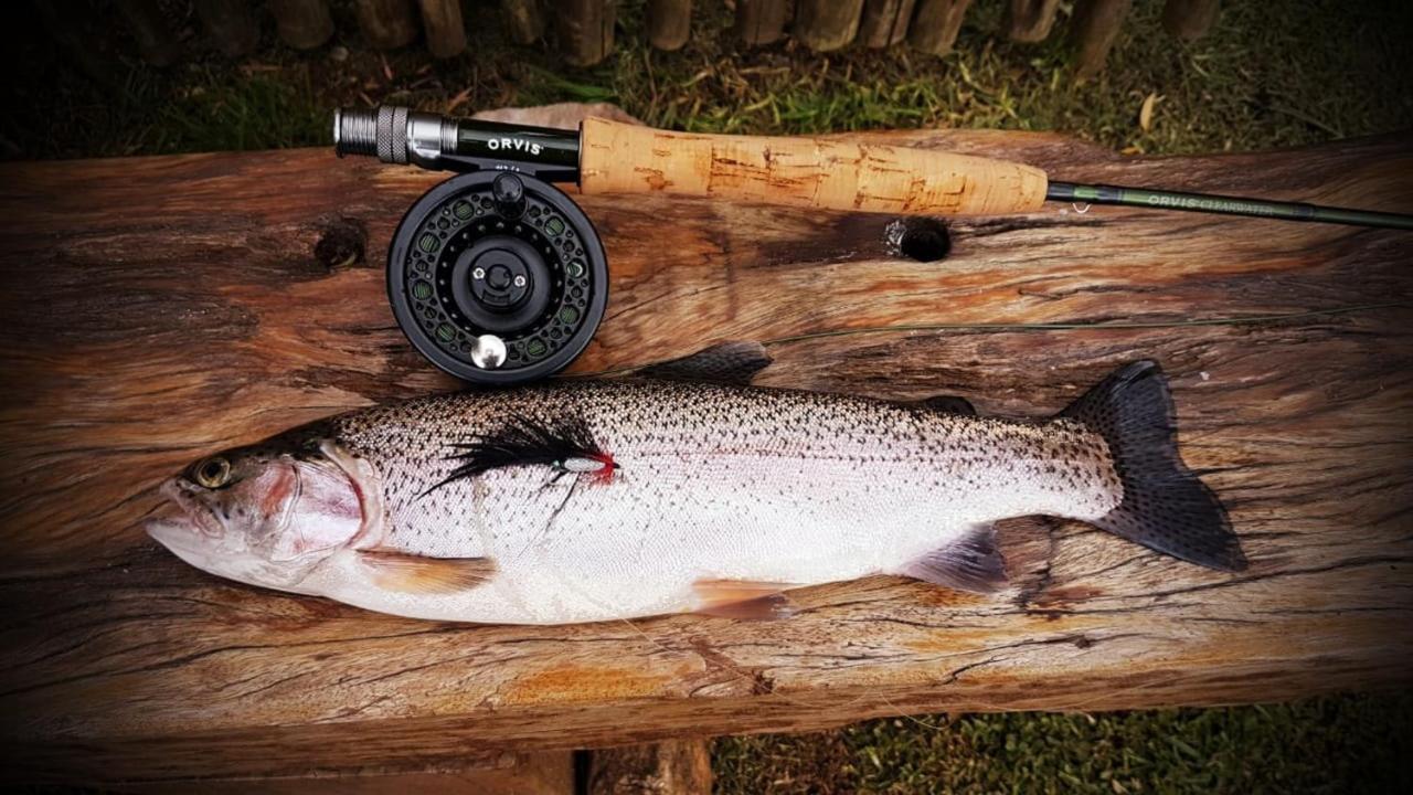 Copperleigh Trout Cottages Dargle Buitenkant foto