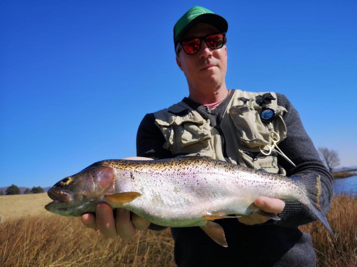 Copperleigh Trout Cottages Dargle Buitenkant foto