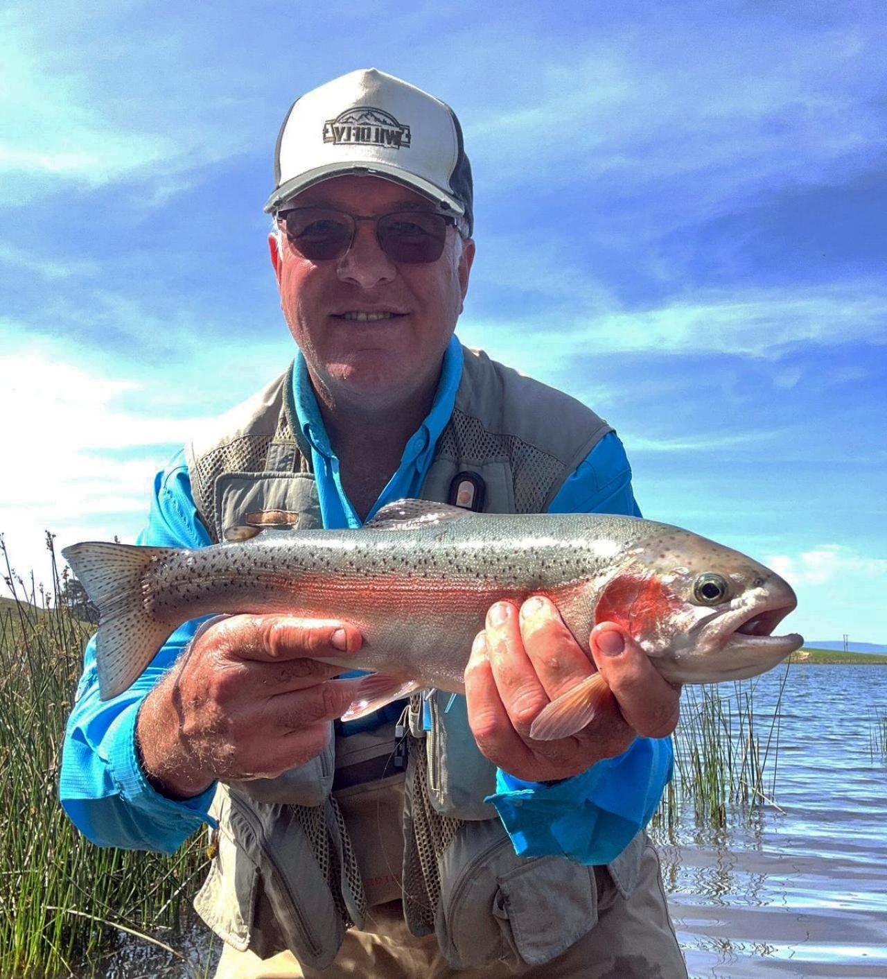 Copperleigh Trout Cottages Dargle Buitenkant foto